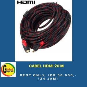 HDMI 20